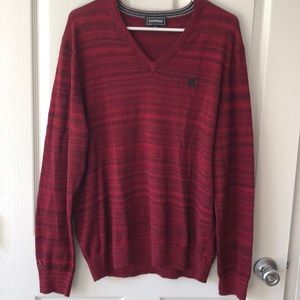 Express Long Sleeve V Neck Sweater